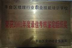 大鸡巴草嫩逼网站